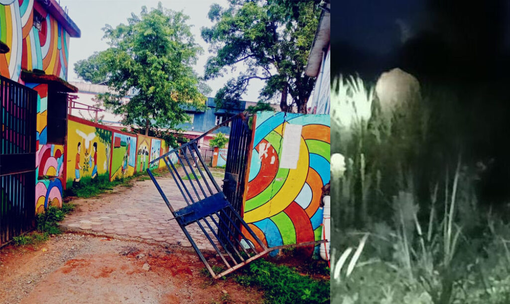 प्रतापपुर में हाथी का आतंक वन विभाग कर रहा निगरानी
