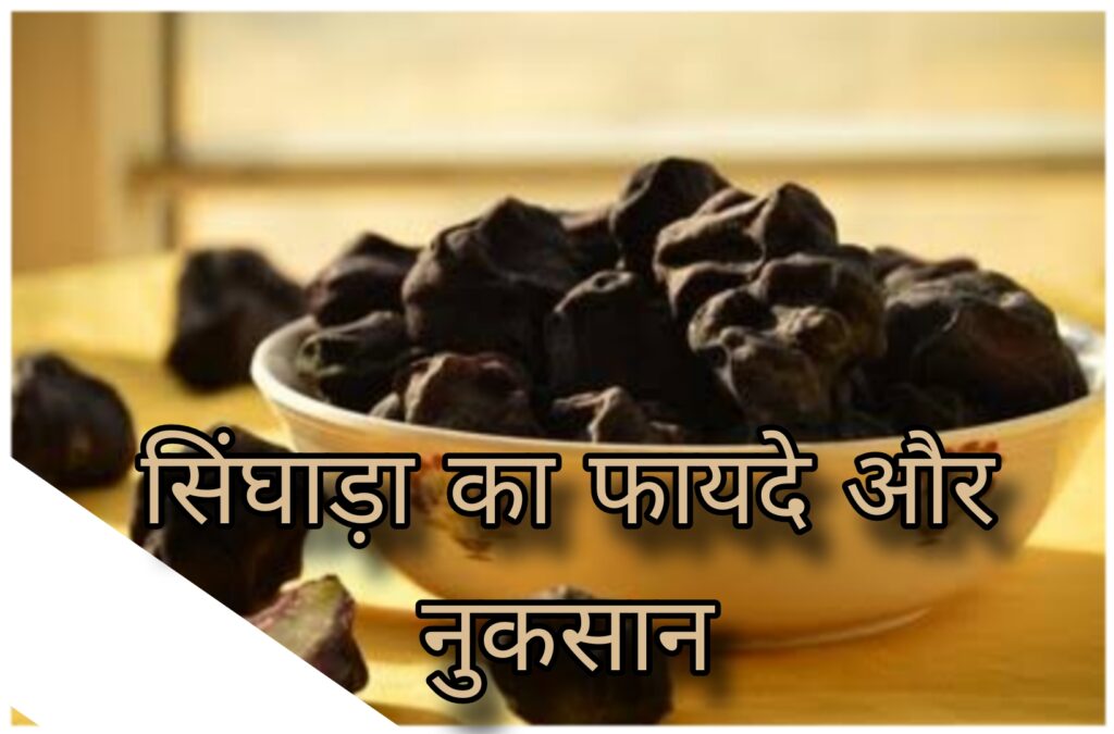 Lotus Singhada : बाजारों में दिखने लगा कमल का सिंघाड़ा जानिए इसके फायदे और नुकसान..